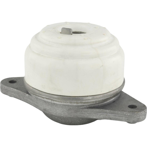 Engine mount (hydro)