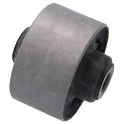 Rear differential bushing