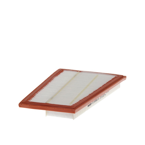 Air Filter Elmt Rht-E(W212)W16