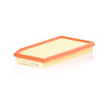 Air Filter C36016