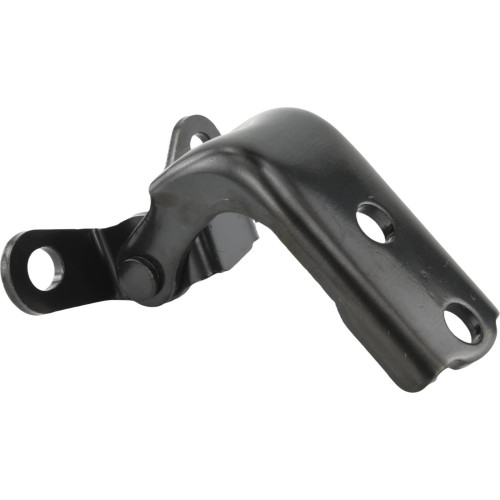 Rear left door lower hinge