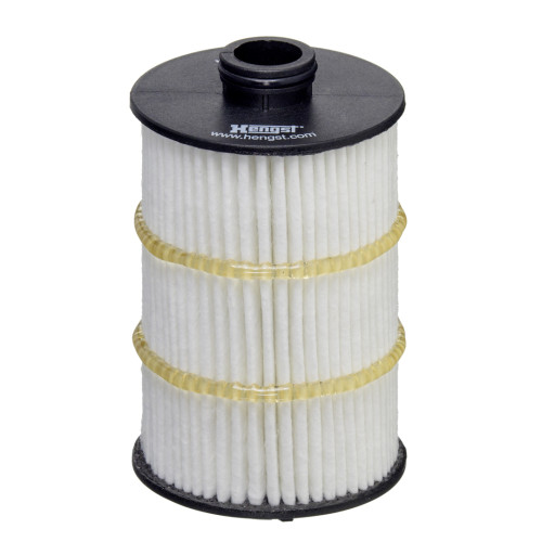 Hengst Engine Oil Filter E861HD413 for Audi