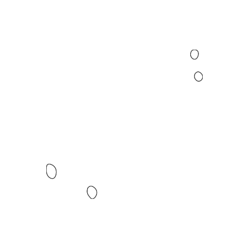 O Ring