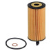 Oil Filter Elmt-1(F20/F21)