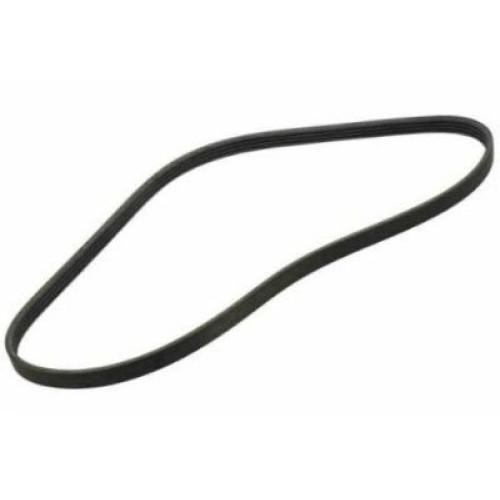 AC Compressor Belt - GM 12622244