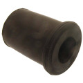 rear leaf spring bushing rear