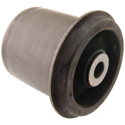 Rear crossmember bushing