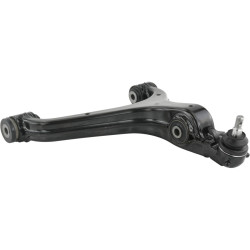 Right lower front arm