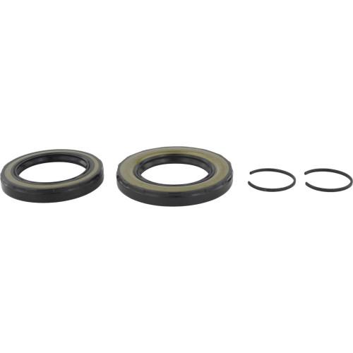 rear differential-pinion seal (set of two)