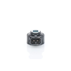 Bosch Knock Sensor 0261231224