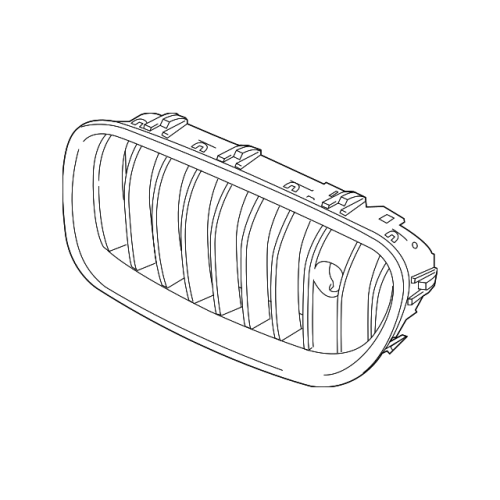 Grille,Radiator