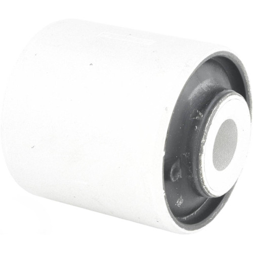 bushing, rear lower control arm