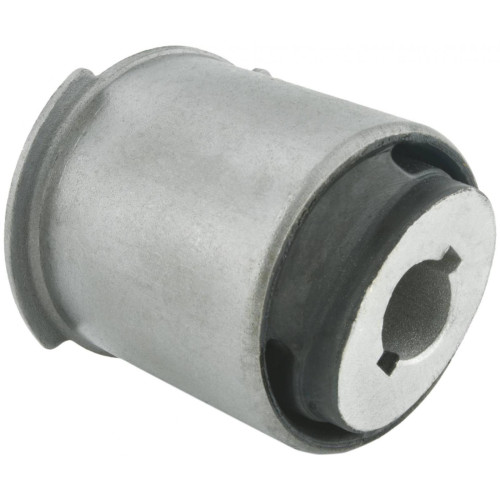 Rear differential bushing