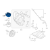 Coller Egr-Usa