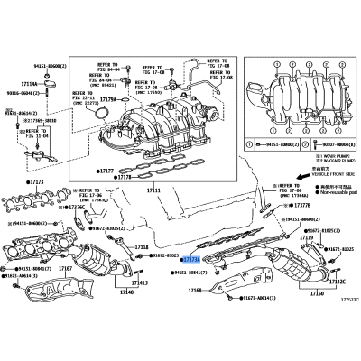 Gasket Exhaust