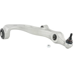 Left lower front arm