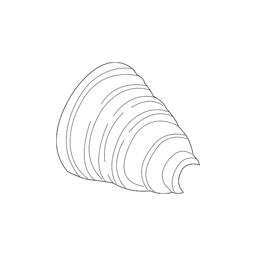 Genuine BMW CV Joint Boot Kit 31608636505