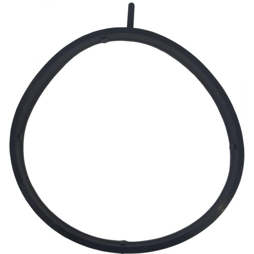 Throttle body o-ring