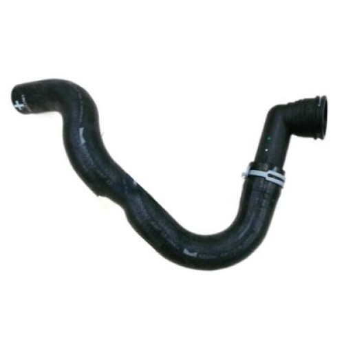 Genuine GM Lower Hose 92252961