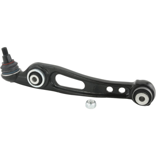 Right lower front arm