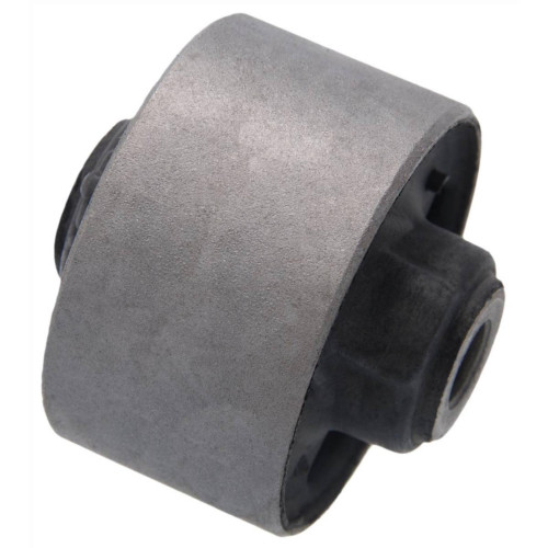 Rear differential bushing