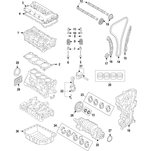 Piston Set