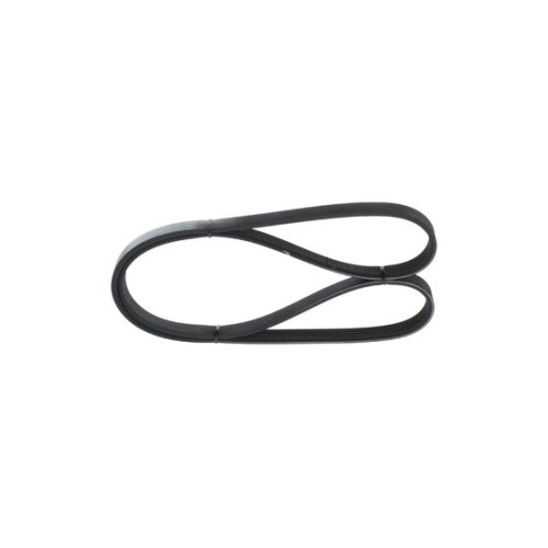 BOSCH 1987948301 V-Ribbed Belt
