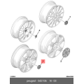 Badge Cap Alloy Wheel