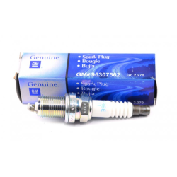 Spark Plug