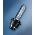 Light Bulb