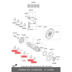 Bearing Kit for Kia Hyundai 2.2 CRDi SantaFé Tucson Sorento Sportage D4HB