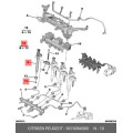 Injector,Fuel