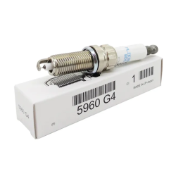 Spark Plug