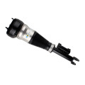 Air Spring Strut