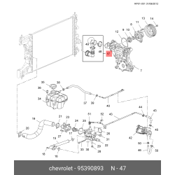 Hose Radiator Outlet