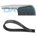 DAYCO 12PK1814HD Genuine Poly-V Belt