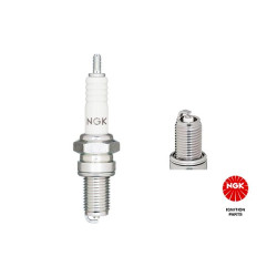 Spark Plug