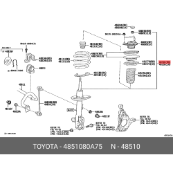 Absorber Assy,Shock,Front Rh