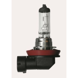 Light Bulb H8/12V 35W