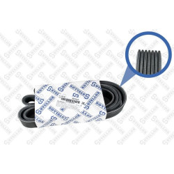 Poly-V Belt ! 7Pk1749 Daf, Honda Accord 2.4 03>