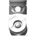 Piston Set