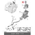 Gear Knob