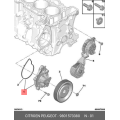 Water Pump Assy