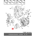 Alternator Belt