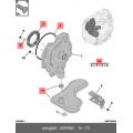 Kit Oil Seal
