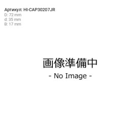 30207Jr Tapered Roller Bearing Mi Fuso Canter Japan