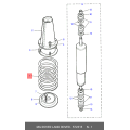 Spring,Coil-Rear