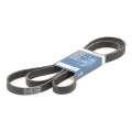 V-ribbed Belt BOSCH 1 987 947 564