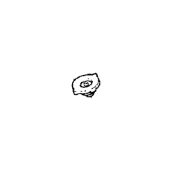 Cap Rad