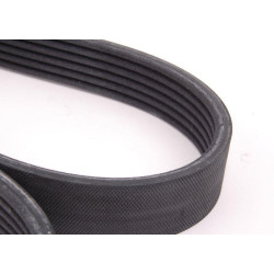 Fan Belt 6Pk